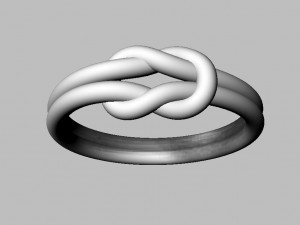 Knot Ring 3D 打印模型