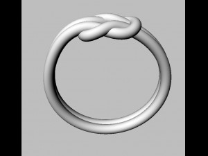Knot Ring 3D 打印模型