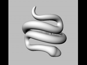 Sneak Ring 3D 프린트 모델