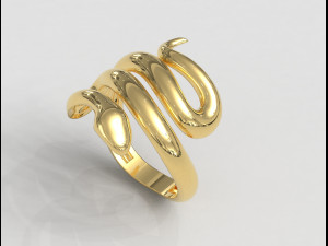 Sneak Ring 3D 프린트 모델
