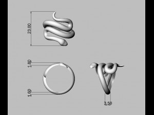 Sneak Ring 3D 프린트 모델