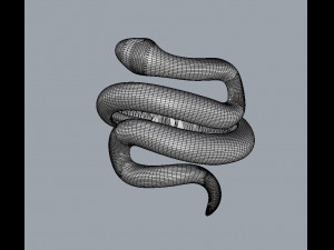 Sneak Ring 3D 프린트 모델