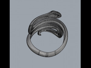 Sneak Ring 3D 프린트 모델