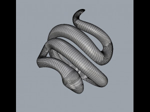 Sneak Ring 3D 프린트 모델