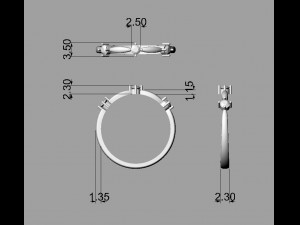Collectible Gemstone Ring 3D 打印模型