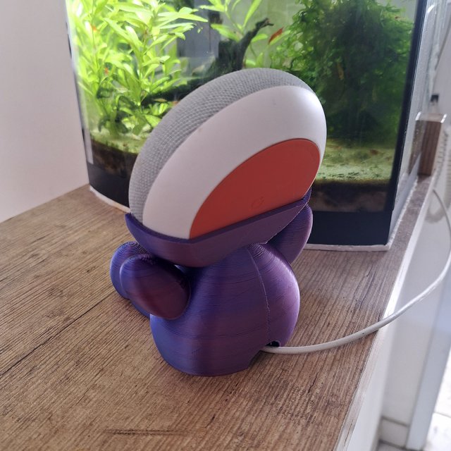 Google home hot sale max support