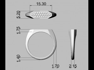 Hexagonal Pave - Signet Ring 3D Print Model