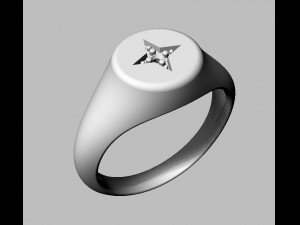 Star Signet Ring 3D Принт Модель