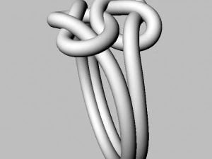 Double Knot Ring 3D Print Model