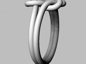 Double Knot Ring 3D Print Model