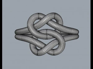 Double Knot Ring 3D Print Model