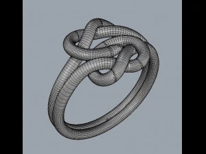 Double Knot Ring 3D Print Model