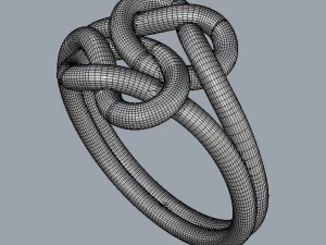 Double Knot Ring 3D Print Model