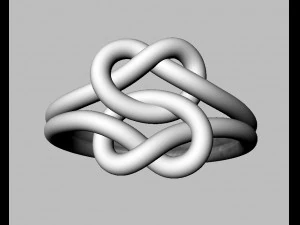 Double Knot Ring 3D Print Model