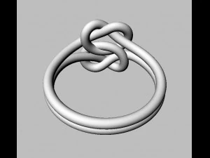 Double Knot Ring 3D Print Model