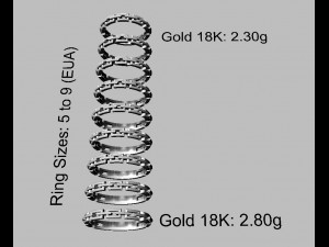 Chain Ring 3D Print Model
