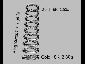 Chain Ring 3D Print Model