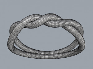 Knot Ring Modelo de Impressão 3D
