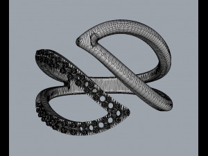 Leafs Diamond Ring Modelo de Impressão 3D