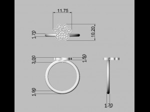 Diamond Paw Ring 3Dプリントモデル