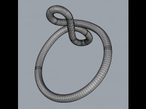 Knot Ring 3D Print Model