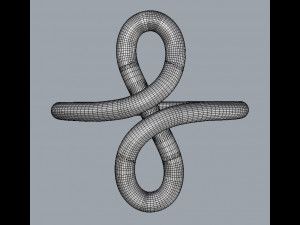 Knot Ring 3D Print Model