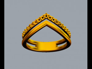 Double Ring 3D 프린트 모델