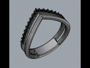 Double Ring 3D 프린트 모델