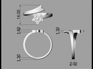Shooting Star Ring 3D 打印模型