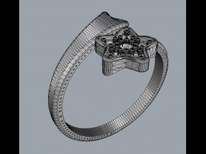 Shooting Star Ring 3D 打印模型