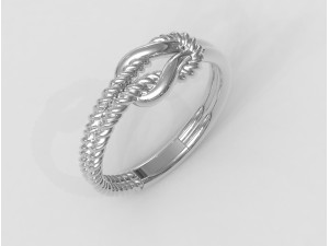 Knot Ring Modello di stampa 3D
