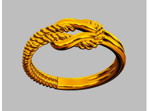 Knot Ring Modello di stampa 3D