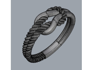 Knot Ring Modello di stampa 3D
