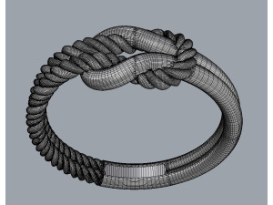 Knot Ring Modello di stampa 3D
