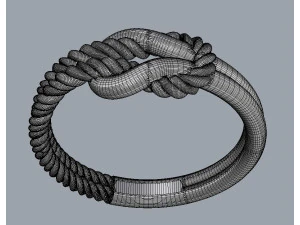 Knot Ring 3D Print Model