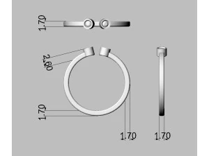 Two Diamonds Ring 3D Print Model