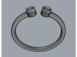 Two Diamonds Ring Modèles 3D en vedette