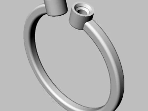 Two Diamonds Ring 3D Print Model