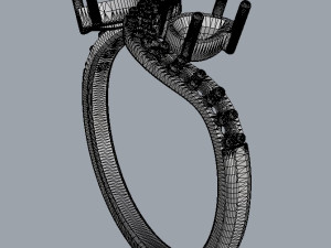 Two Stones Ring 3D Print Model