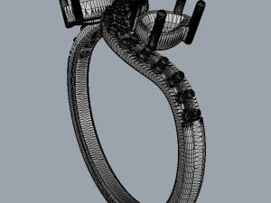 Two Stones Ring 3D Print Model
