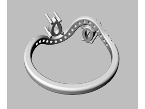 Two Stones Ring 3D Print Model