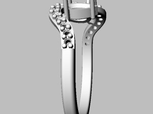 Two Stones Ring 3D Print Model