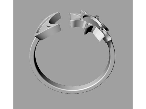 Moon and Sun Ring and Earrings Modelo de Impressão 3D