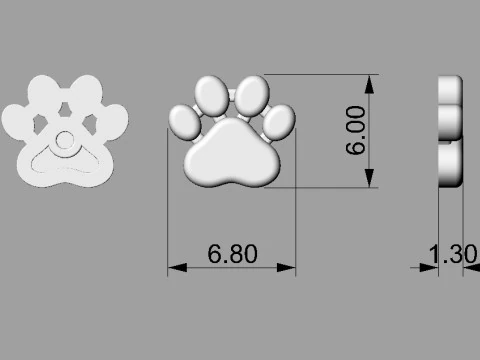 Paw Pendant and Earrings 3D Print Model