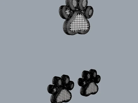 Paw Pendant and Earrings 3D Print Model
