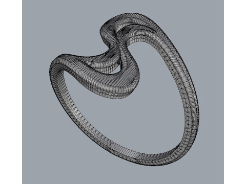 Wave Ring 3D Print Model