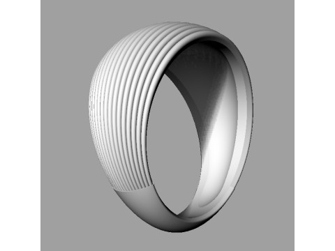 Shell Texture Ring 3D Print Model