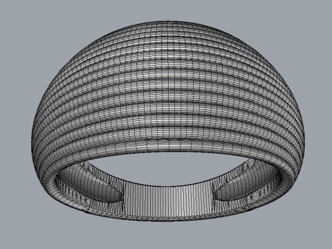 Shell Texture Ring 3D Print Model
