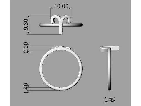 12 Zodiac Rings - Full Set 3D Print Model