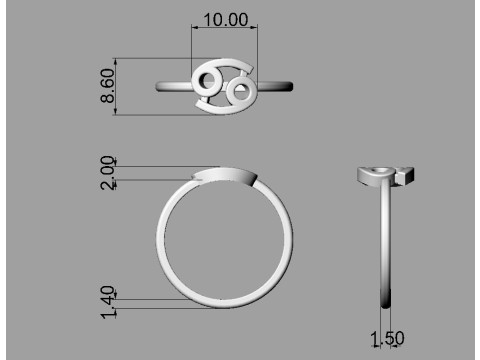 12 Zodiac Rings - Full Set 3D 프린트 모델
